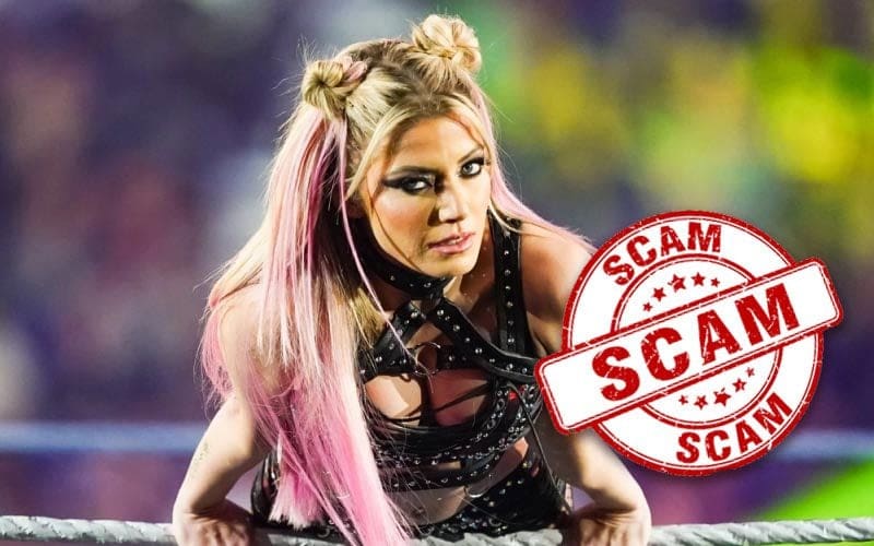 Alexa Bliss Sends Message To Fans Threatening Her Family Over Scammers