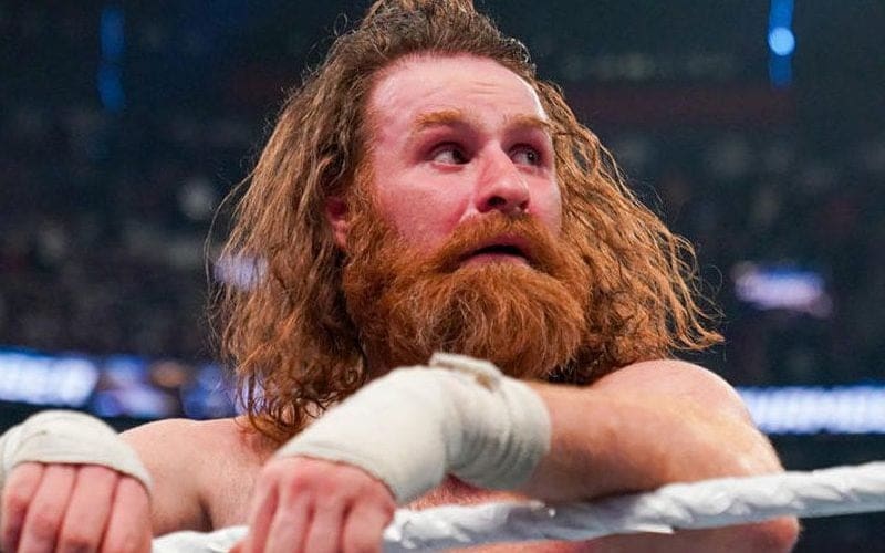 Sami Zayn Admits He Had Problems Digesting Loss To Roman Reigns At WWE Elimination Chamber