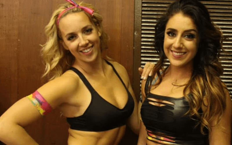 Chelsea Green Fires Off Defense After Britt Baker Takes Shade From Fan