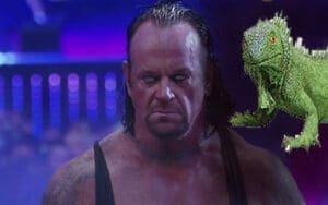 The Undertaker Protected Michelle McCool From Intimidating Iguana