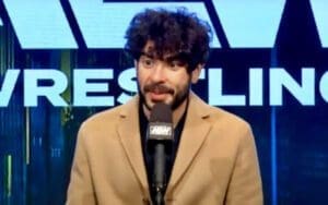 Tony Khan Heavily Involved In AEW Fight Forever Video Game