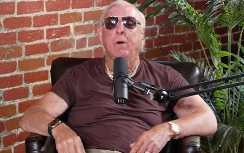 Ric Flair Admits to Using Injections for Better Bedroom Performance