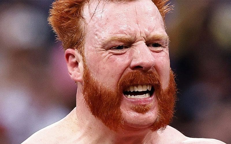 Sheamus Reveals Frustration and Bitterness About WWE Money in the Bank Snub
