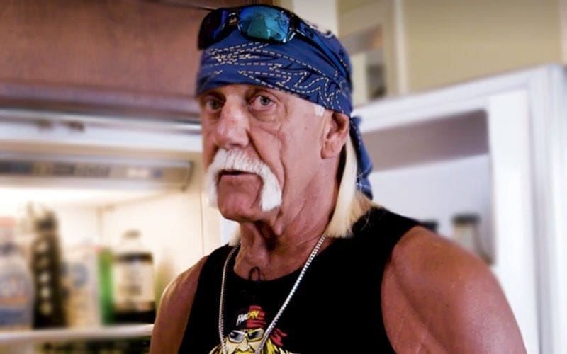 Hulk Hogan Called Out For Lying Big Time In New Interview