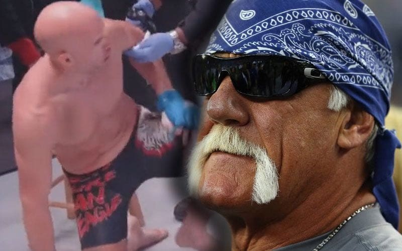 Hulk Hogan’s Nephew Takes Brutal KO In MMA Fight
