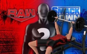 Absent WWE Superstar Proves They Are In Fantastic Shape During Hiatus