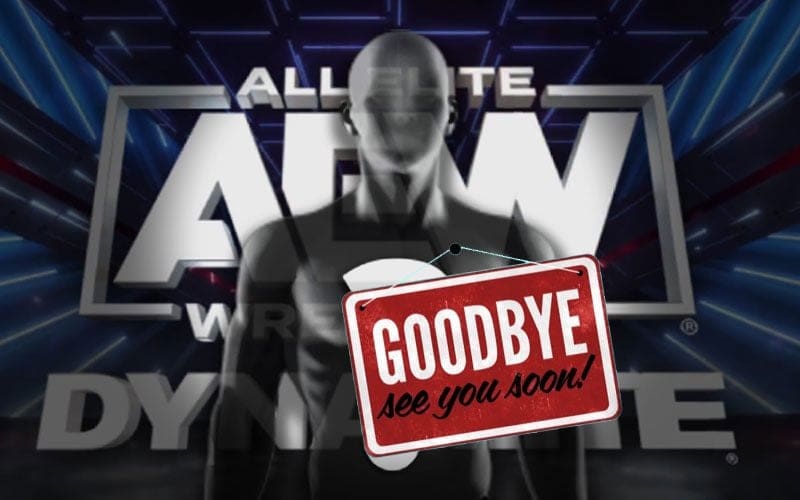 Another AEW Star Officially Removed From Roster