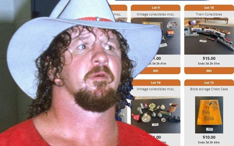 Terry Funk’s Estate Goes On Public Auction With Some Off-The-Wall Items