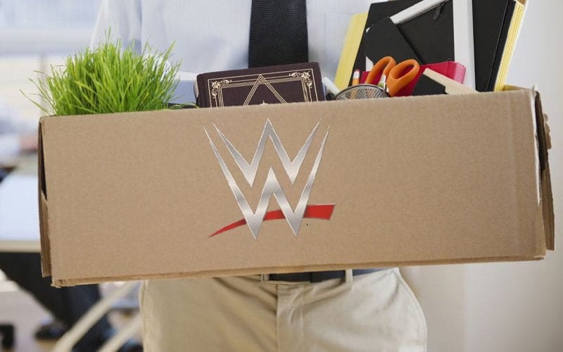 Another Veteran WWE Employee Parts Ways with the Company