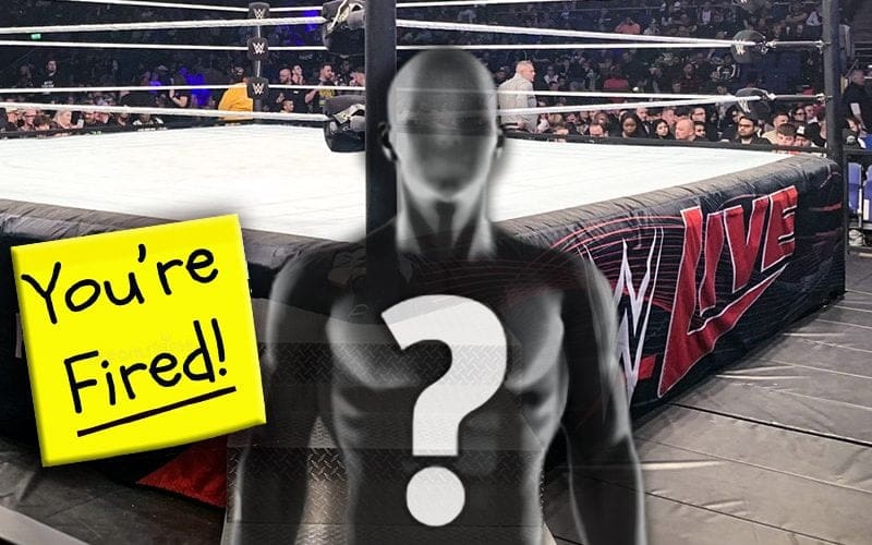 Ex-WWE Star Admits to Being Unaffected by Their Release from the Company