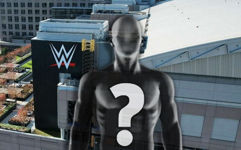 WWE Parts Ways with Prominent Personality in Recent Release
