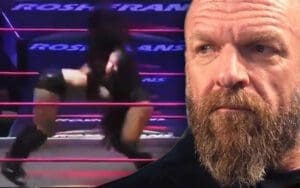 Ex WWE NXT Superstar Pays Tribute To Triple H With Pedigree During Match