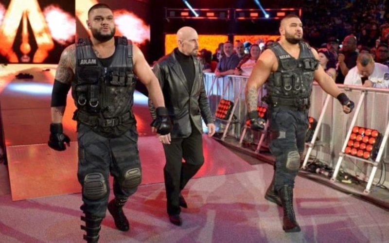 Current Progress For Authors Of Pain’s WWE Television Return