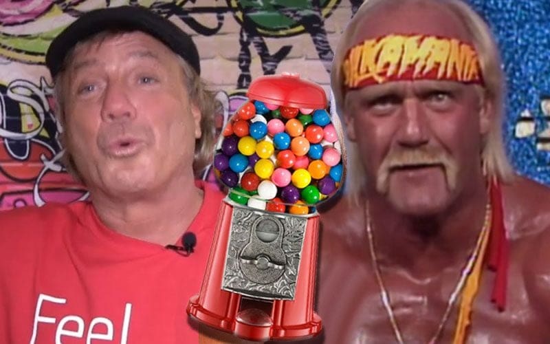 Marty Jannetty Says Hulk Hogan Had A Drug-Filled Gumball Machine At One Of His Crazy Parties