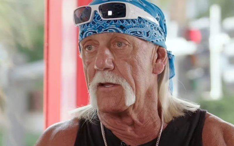 Hulk Hogan Claims Back Pain Makes Him Want To Jump Off a Cliff