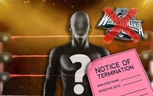 WWE Had Creative Plans For Released Superstar Until WrestleMania Season Next Year WWE Had Creative Plans For Released Superstar Until WrestleMania Season Next Year