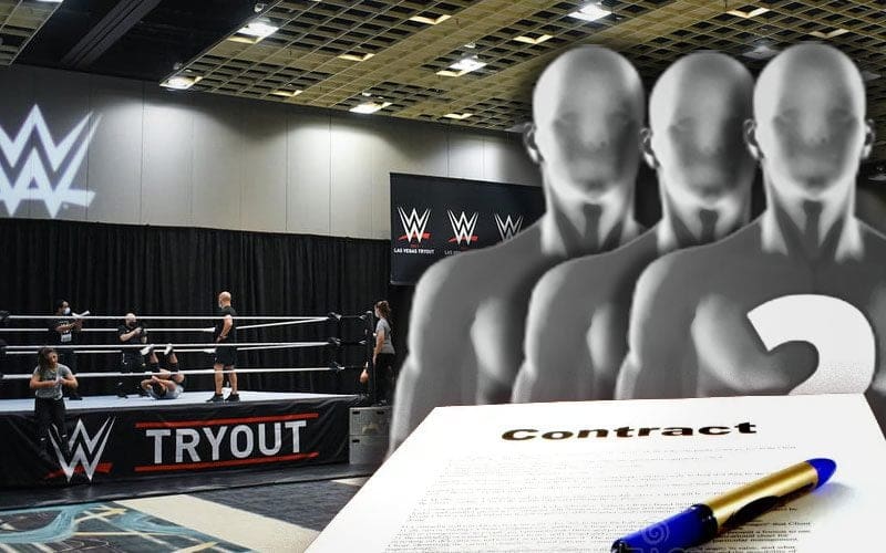 WWE Offers Contracts To Three Recent Tryout Participants