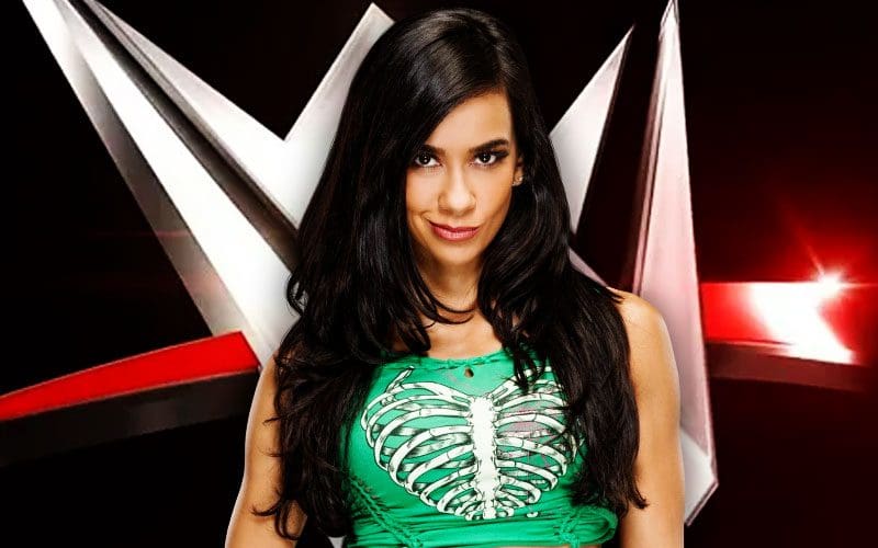 AJ Lee's WWE Comeback Still a Question Mark Following CM Punk Mention ...