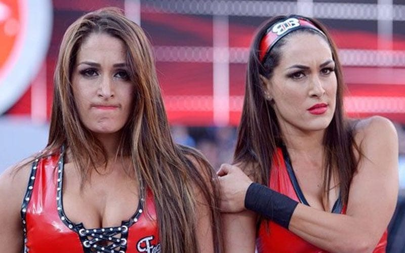 Ex-WWE Star Reveals Long-Term Nixed Plans with The Bella Twins