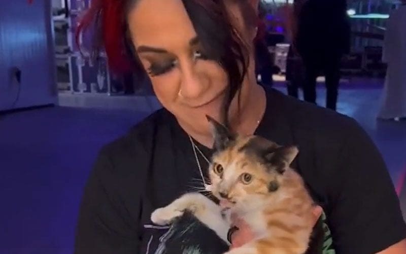 Stray Cat Gets Lots Of Love From WWE Superstars After Sneaking Backstage During Crown Jewel