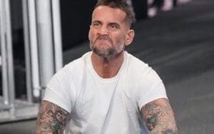 Multiple WWE Talent Upset After CM Punk's Survivor Series Comeback