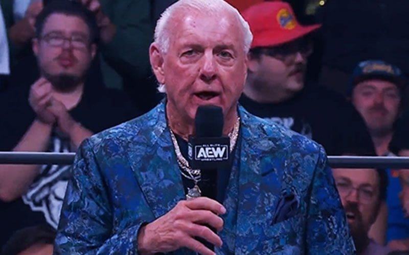 Ric Flair Accuses Many of Being Jealous About His Return to Television