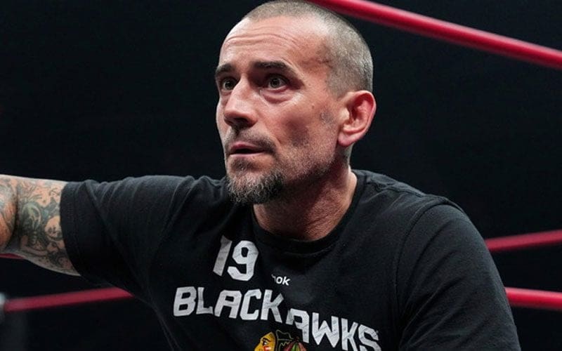 WWE Announcer Could Picture CM Punk’s Return To The Company