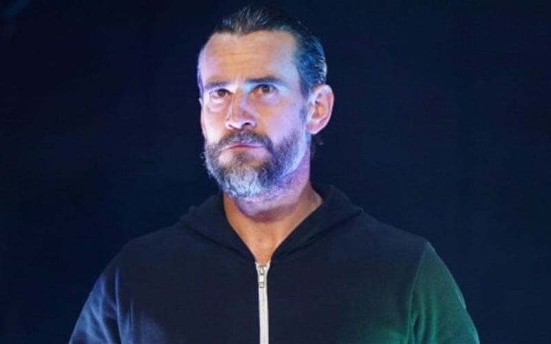 Another Former Co-Worker Comes Forward To Defend CM Punk