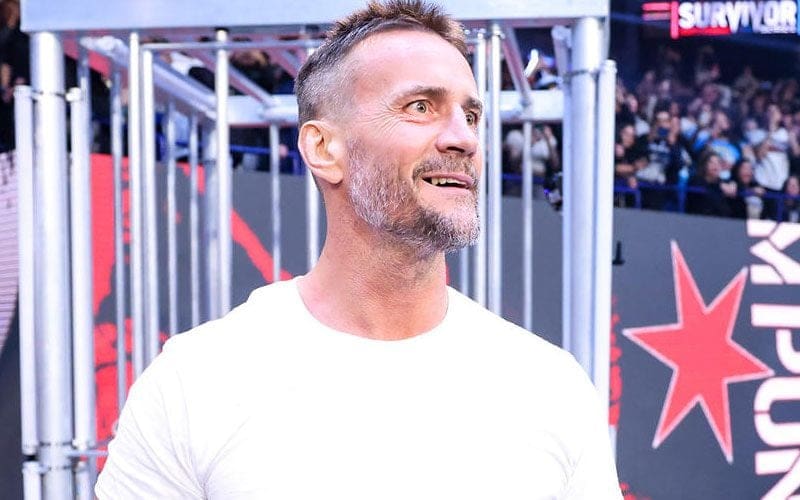 WWE Executive Caught Off Guard with CM Punk’s Return