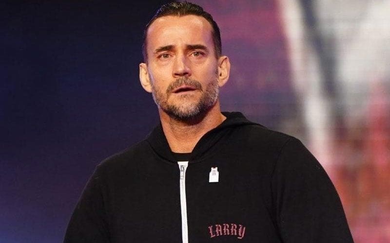 WWE’s Current Interest In CM Punk Clarified After Cryptic Promo During 11/13 RAW