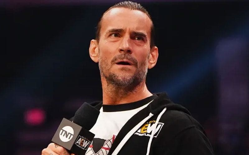 WWE Higher Up Squashes Rumors About CM Punk Return Talks
