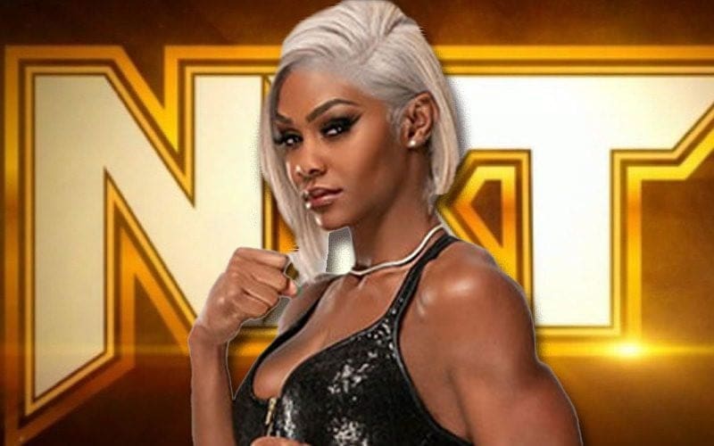 Jade Cargill’s Current Status For 11/14 WWE NXT