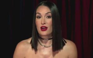 WWE Snubs Mentioning Nikki Bella During 11/13 WWE RAW