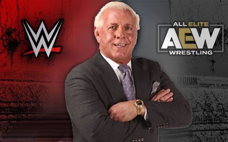 Ric Flair Tried To Work Out Energy Drink Deal With WWE Before Going To AEW