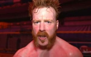 Sheamus Hits Back at Fan Who Mocked His Desire For 5 Star Matches Sheamus' Expected WWE Return Date Following Shoulder Recovery