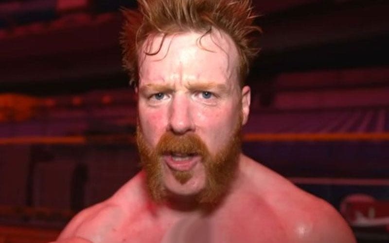 Sheamus Hits Back at Fan Who Mocked His Desire For 5 Star Matches