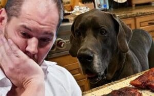 Baron Corbin Grieves the Loss of His Beloved Dog Xander