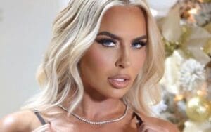 Ex-WWE Star Dana Brooke Asks Fans if She's 'Naughty or Nice' in Christmas Photo Drop