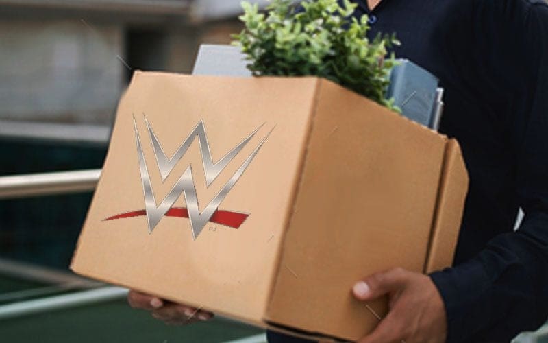 WWE Television Executive VP Leaves Company