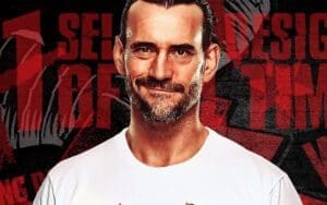 CM Punk Tops Pro Wrestling Tees Merchandise Sales in 2023