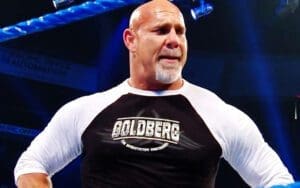 Ex-WWE Figure Alleges That Goldberg's Retirement Match Was a 'Vanity Project'