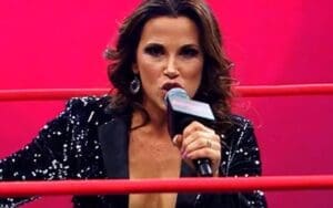 Ex-WWE Star Mickie James Promises OVW Women's Division Revival