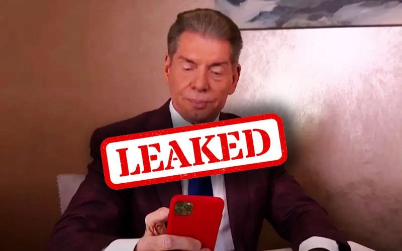Vince McMahon's Disturbing Texts to Janel Grant in Trafficking Lawsuit ...