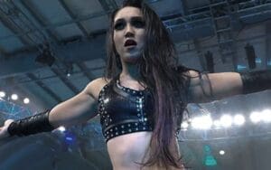 WWE NXT Sees Viewership Drop For 1/16 Episode