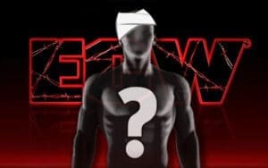 Ex ECW Star Still Suffering From Post Concussion Syndrome