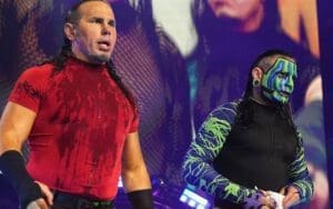 Matt and Jeff Hardy's AEW Characters for a Fresh Direction