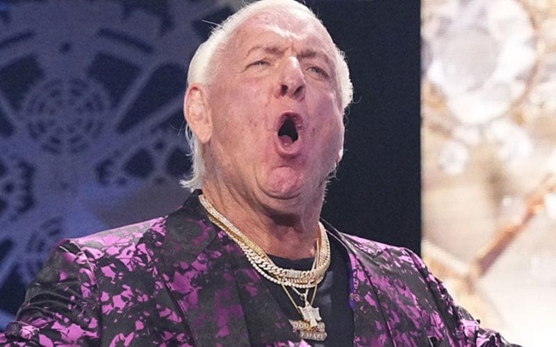The Rock and Seven Bucks Productions Collaborating on Ric Flair Biopic