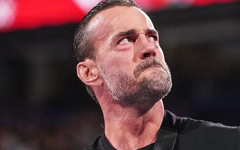 CM Punk Opens Up About Mental Health Battle After Missing 2024 WWE Elimination Chamber