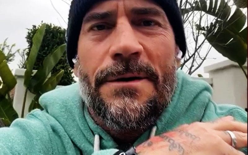 CM Punk Investigating Exclusion from WWE 2K24 DLC Plans