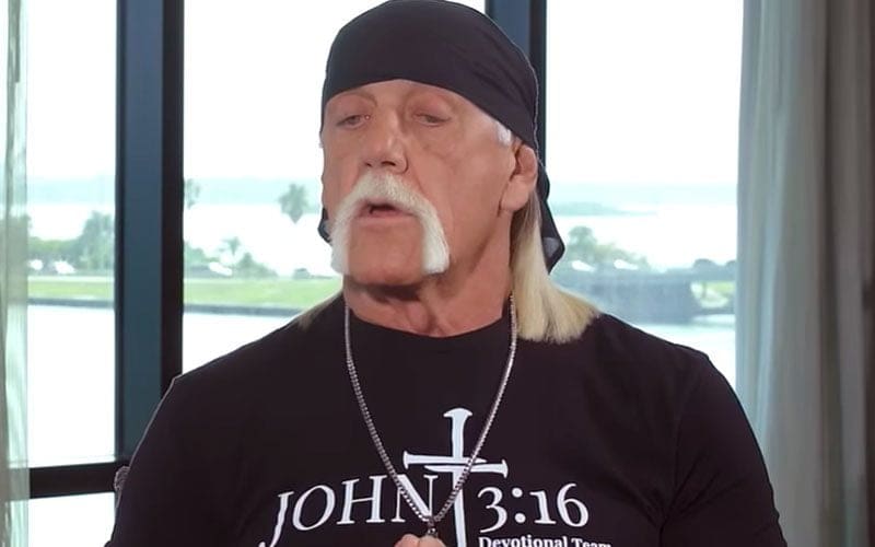 Hulk Hogan Claims Rejection of Opportunity to Follow in John Wayne’s Footsteps